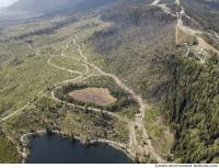 background nature forest High Tatras 0009